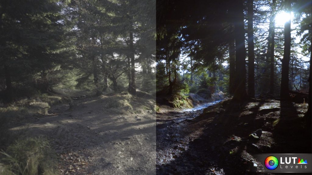 levels lut video luts 10