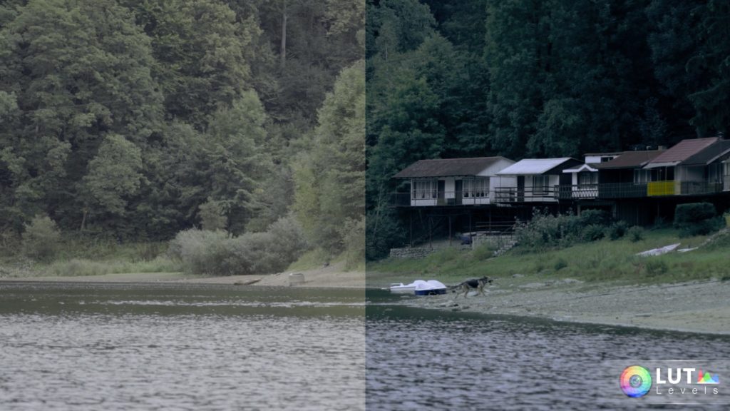 levels lut video luts 12