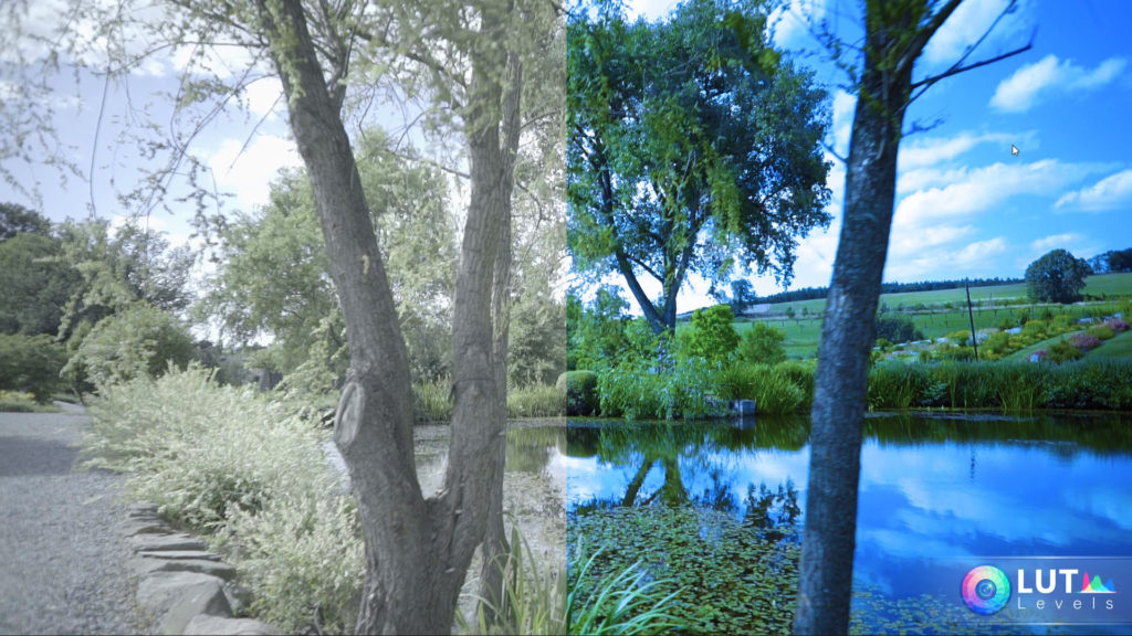 levels lut video luts 2