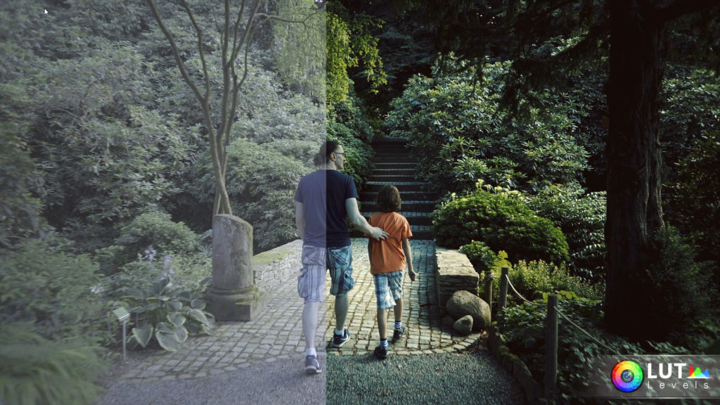 levels lut video luts 4