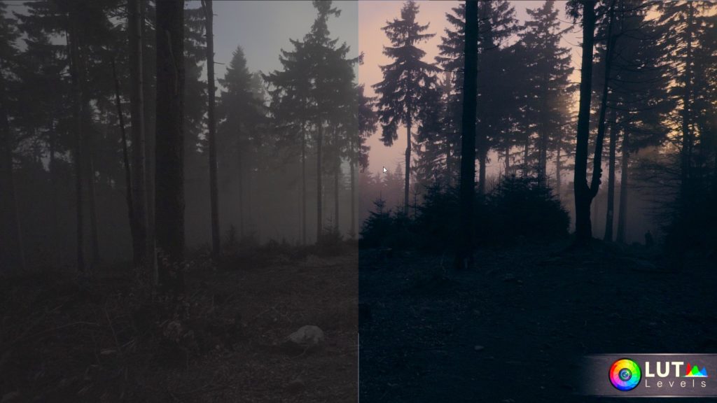 levels lut video luts 7