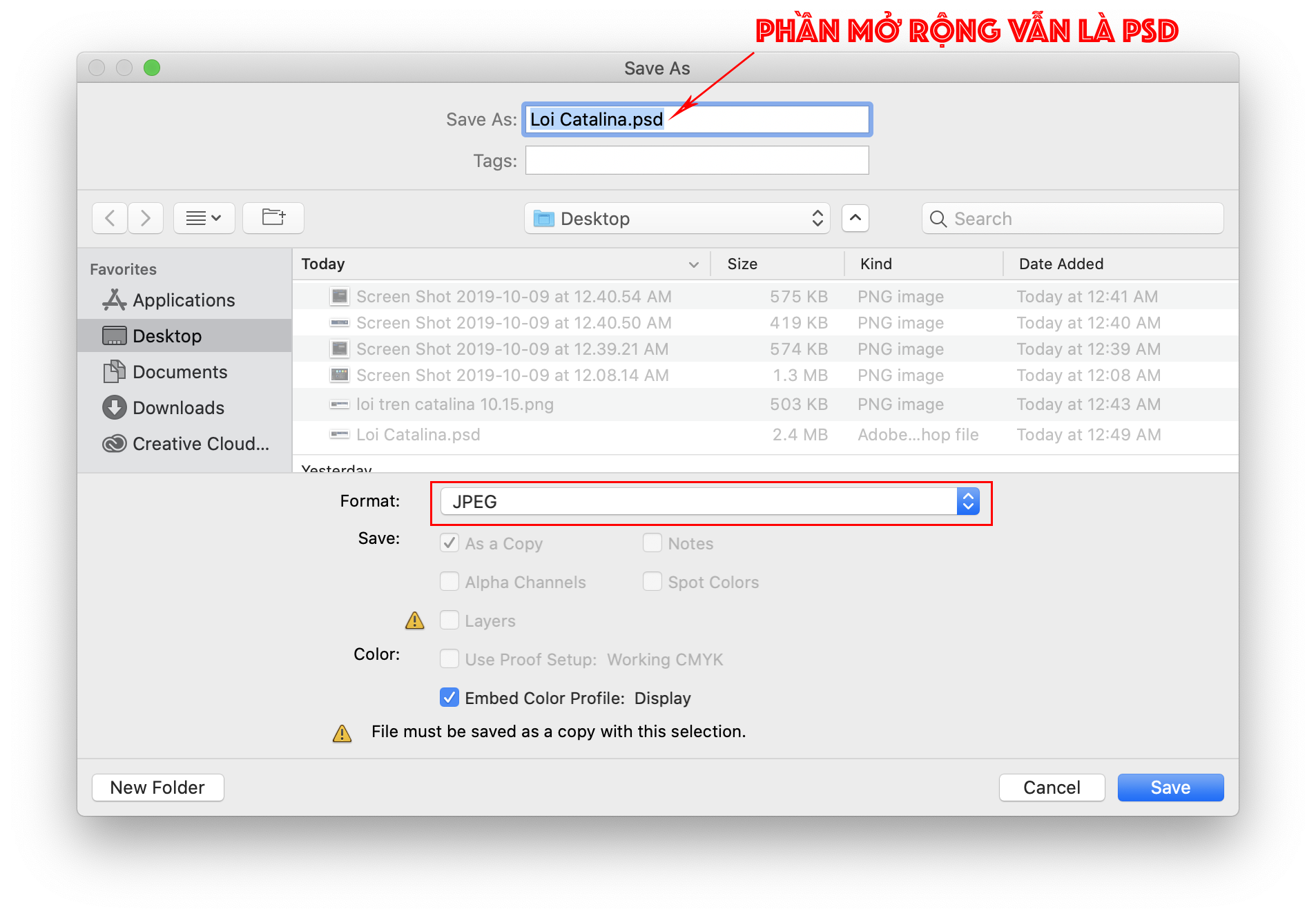 loi tren catalina 10 152
