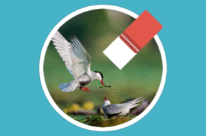 magic photo eraser mac