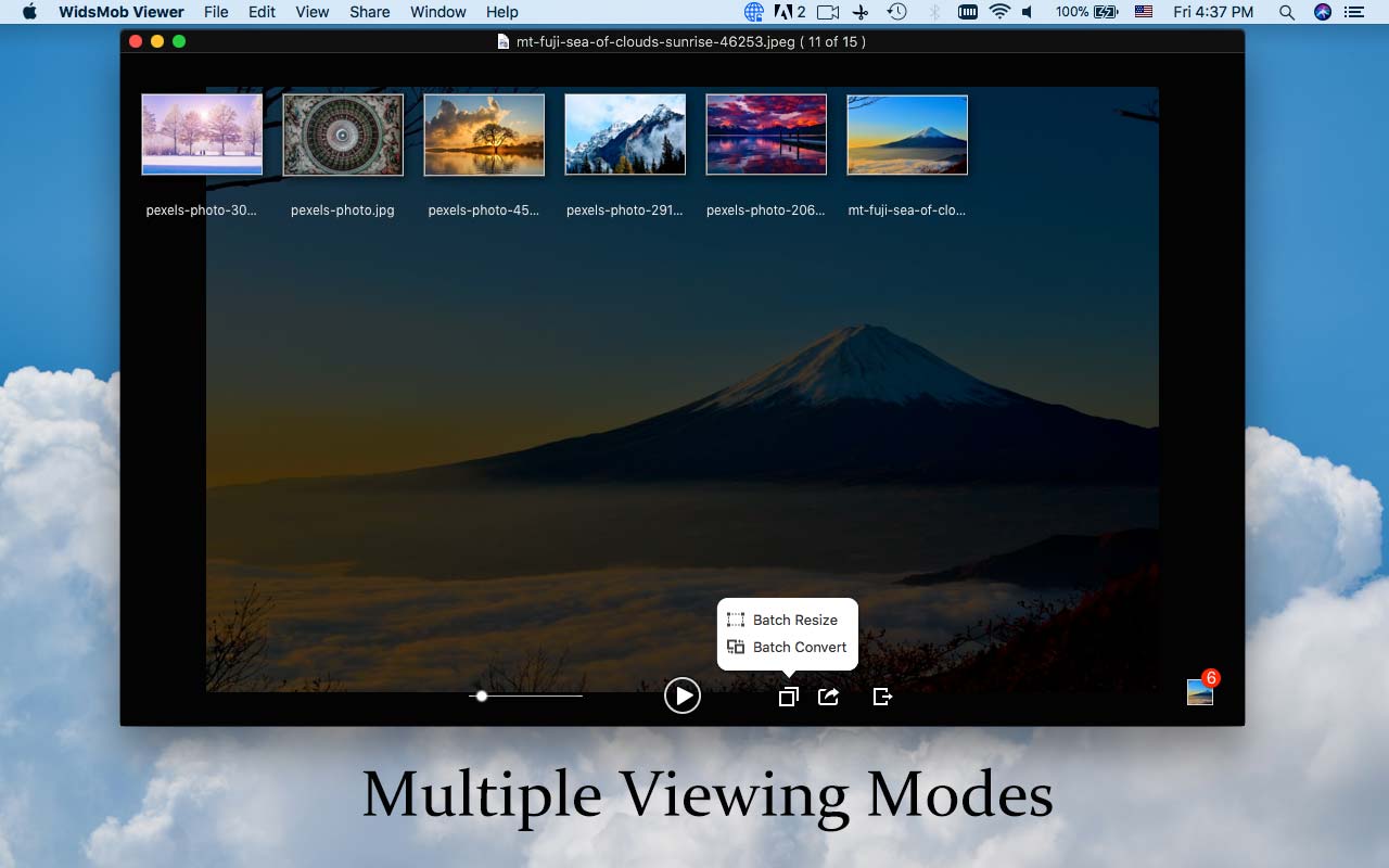 multiple-viewing-modes multiple viewing modes