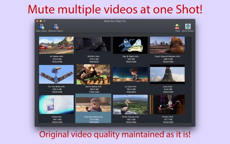 mute any video pro1b