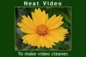 neat video pro