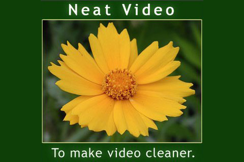 neat video pro