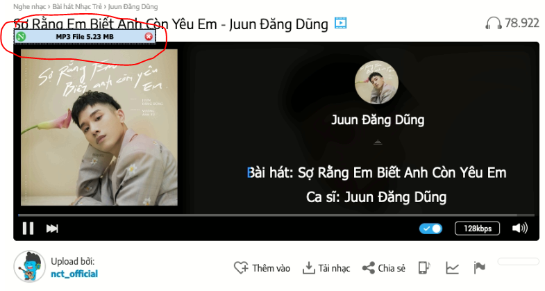 net download manager audio
