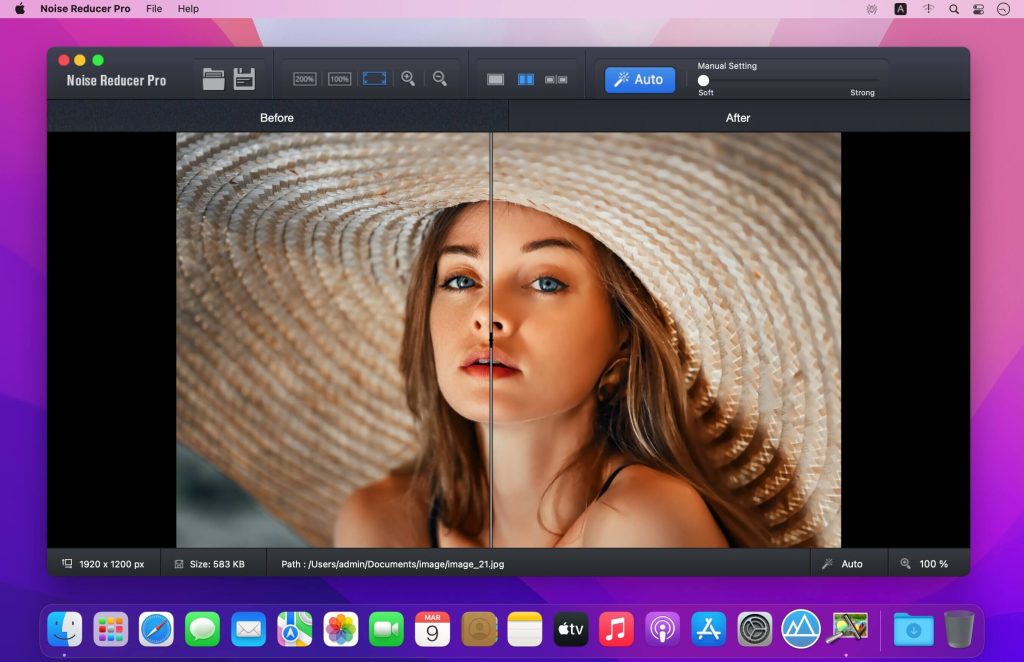 noise reducer pro 03 1024x662 1
