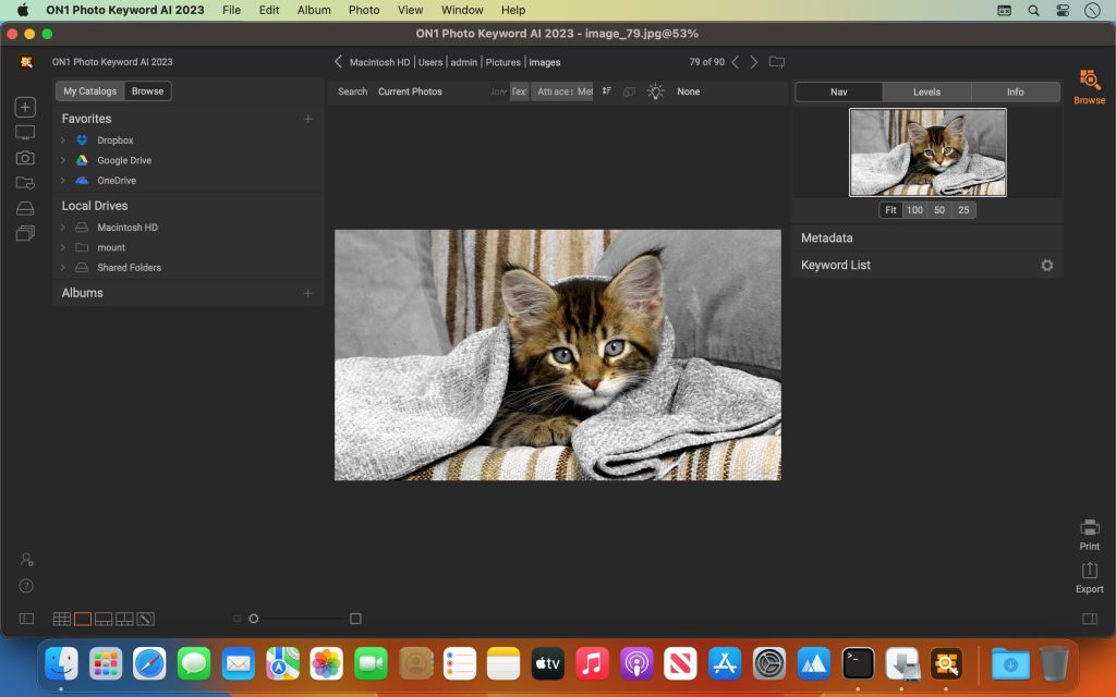 on1 photo keyword ai 02 1024x640 1