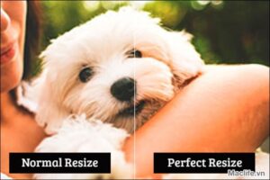 perfect resize 7
