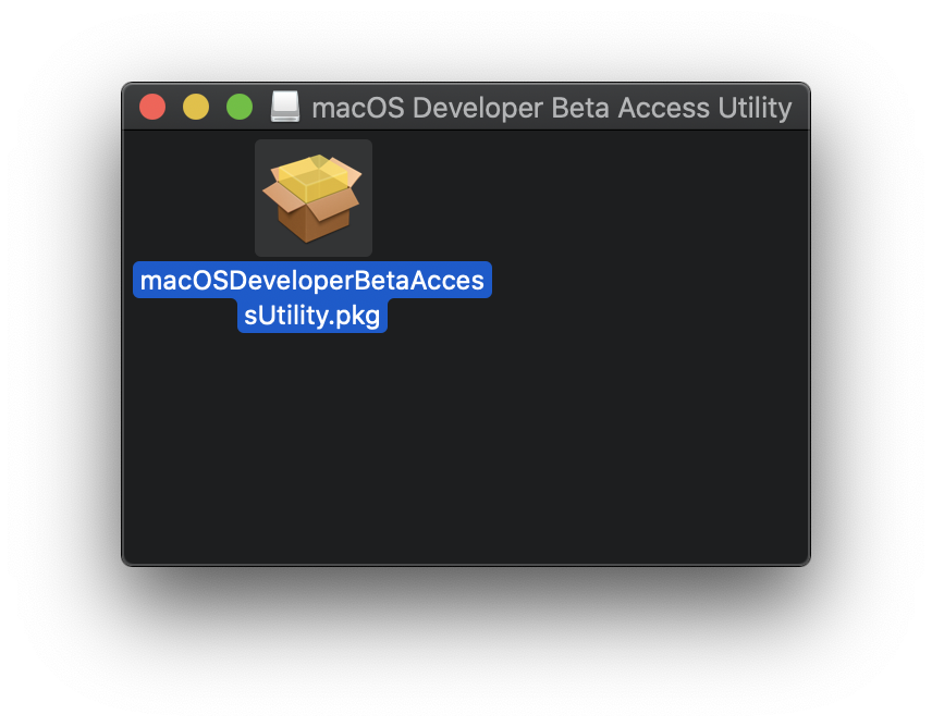profile macos 11 big sur