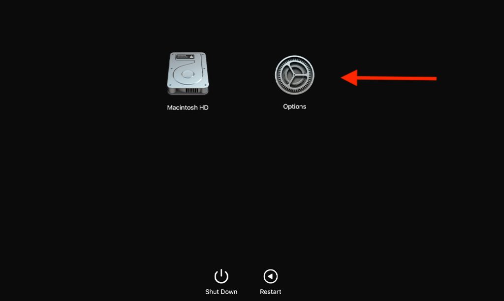 recovery options 1024x611 1