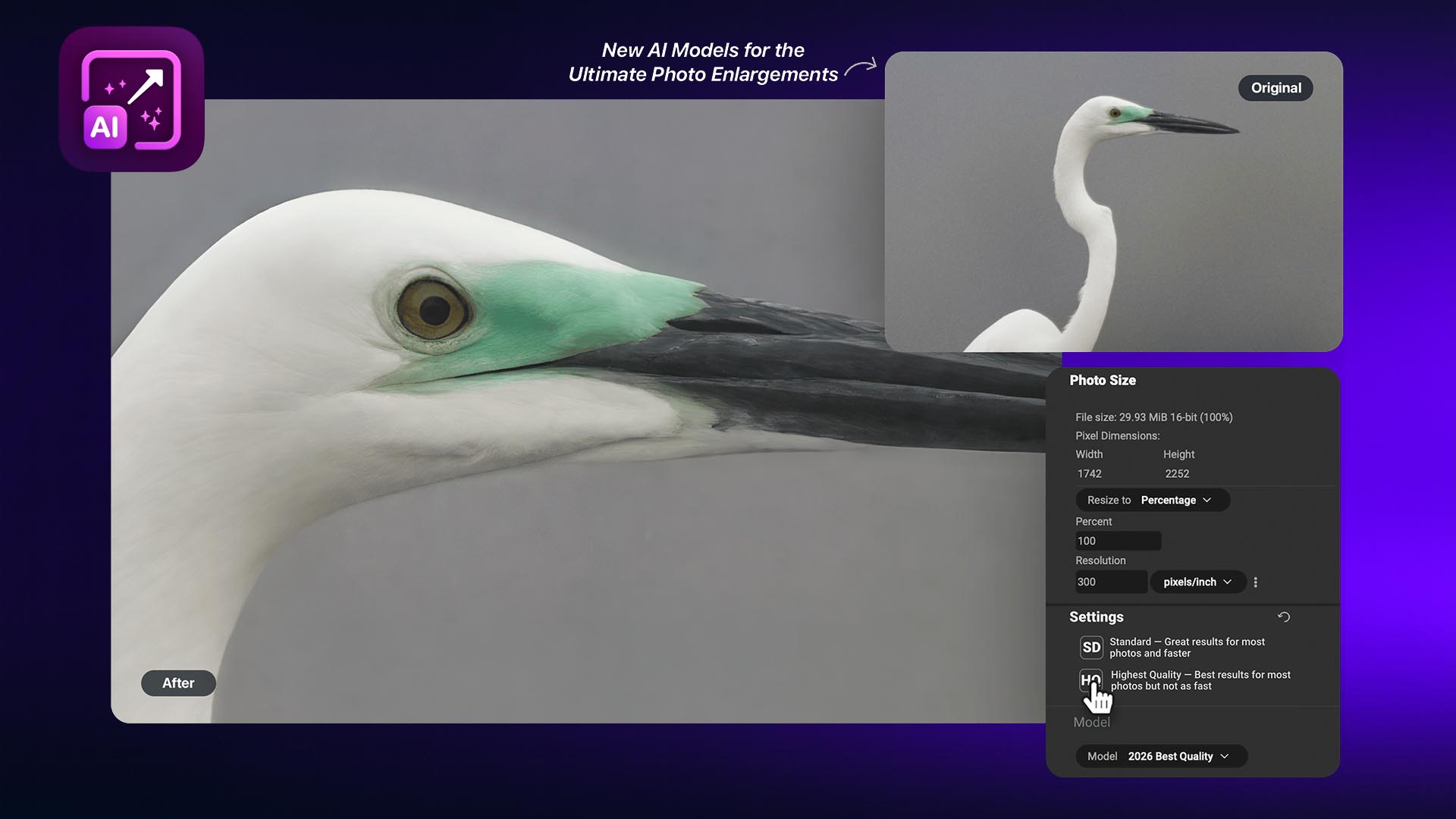 resize-ai-2026-before-after-main resize ai 2026 before after main