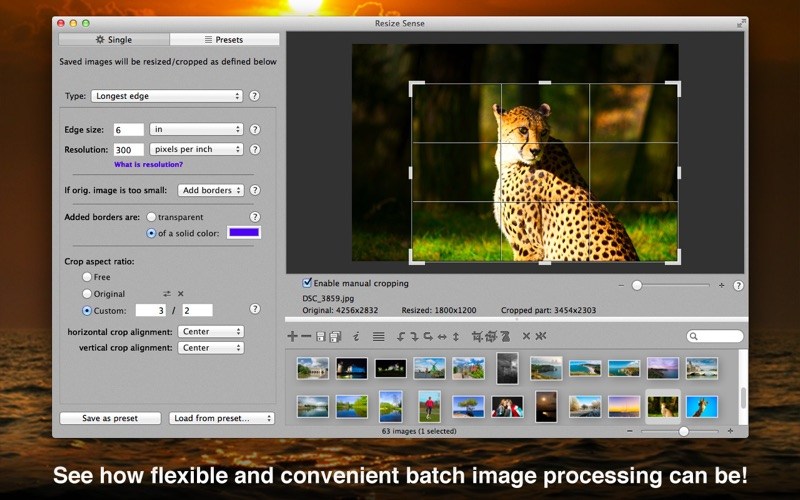 resize-sense-1 resize sense 1
