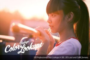 retro vintage color lookup bundle maclife 830x554 1