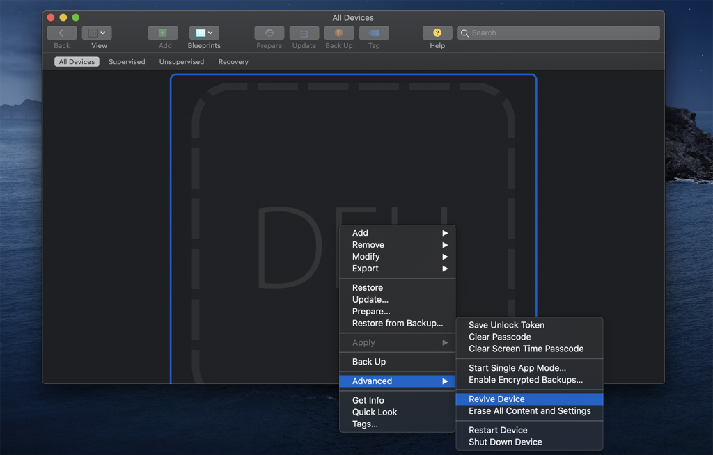 revive t2 1 1024x654 1
