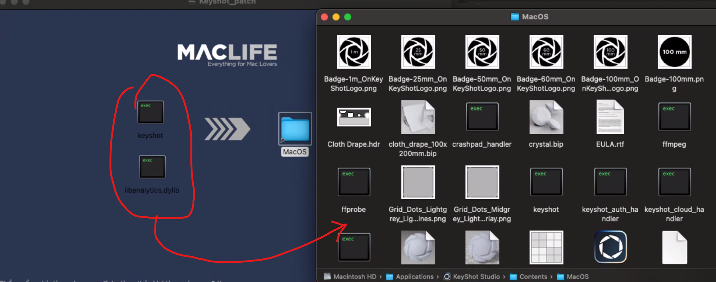 screenshot-2025-06-30-140657-2 screenshot 2025 06 30 140657 2