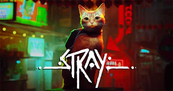 stray-700 stray 700