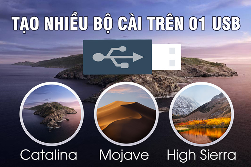 tao nhieu bo cai tren usb