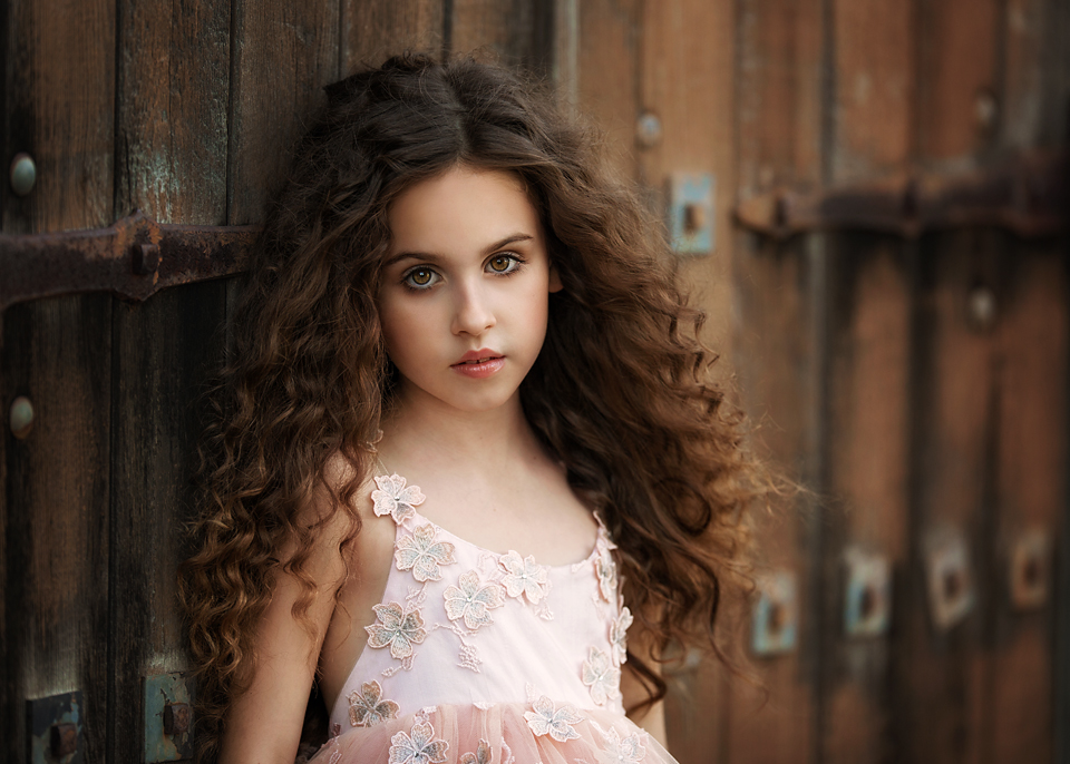 the-complete-presets-bundle3 the complete presets bundle3