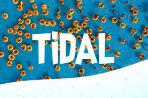 tidal e28093 100 fun video transitions 830x553 1