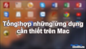 tocc82cc89ng hocc9bcca3p nhucc9bcc83ng ucc9bng ducca3ng cacc82n thiecc82t cho ngucc9bocc9bi mocc9bi succ9bcc89 ducca3ng mac