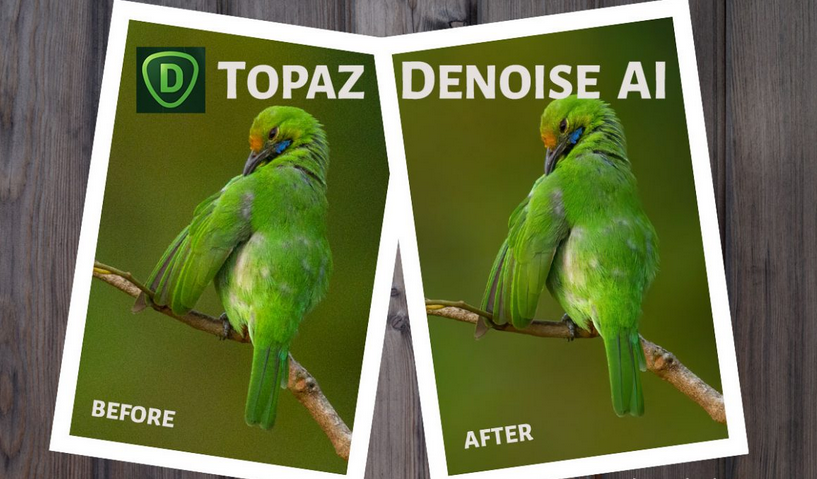 topaz denoise ai mac