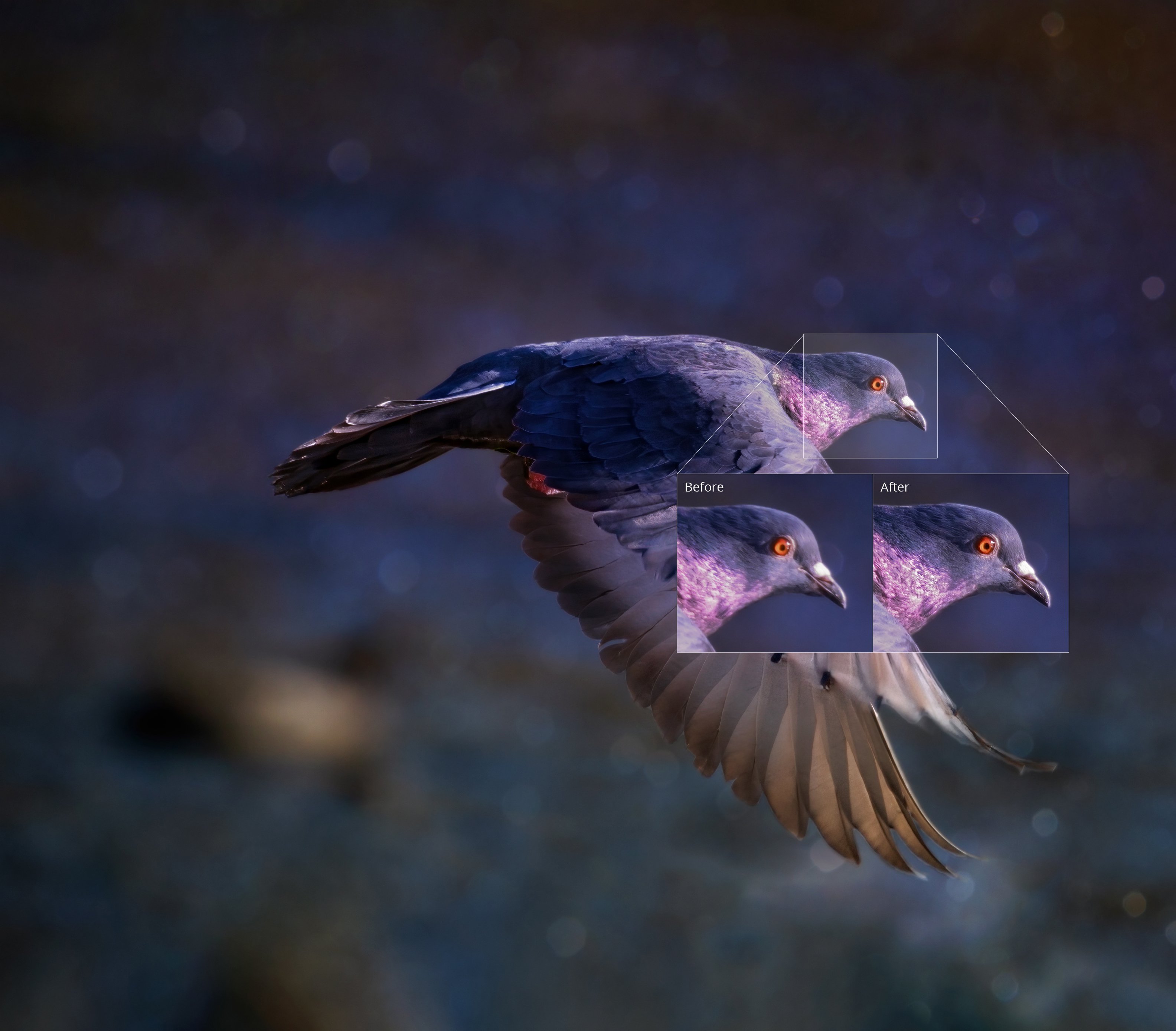 topaz sharpen ai mac