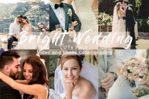 wedding luts cover 830x553 1